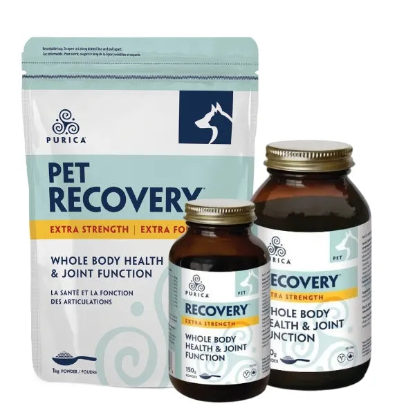 Purica Pet Recovery Extra Strength Powder Whole Body Health for Pets