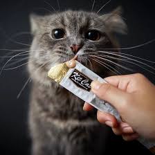 Cat Treats