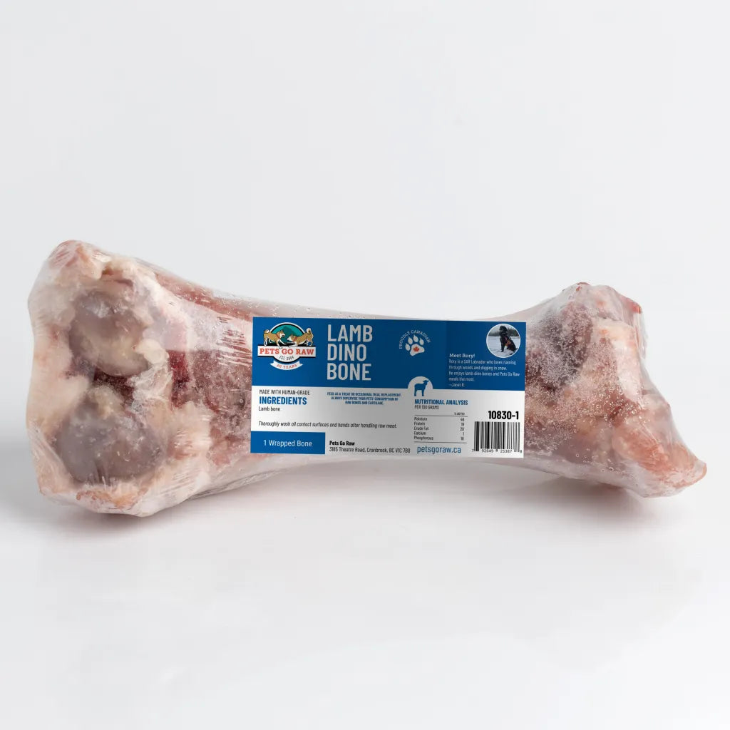 Pets go Raw Lamb Dino Bones