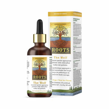 Adored Beast Roots - The Wolf Adored Beast