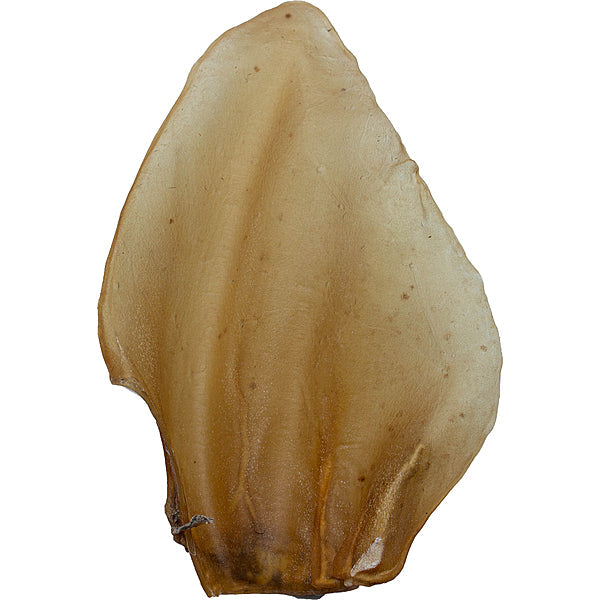 Silver Spur ASADO Natural Cow Ears Asado