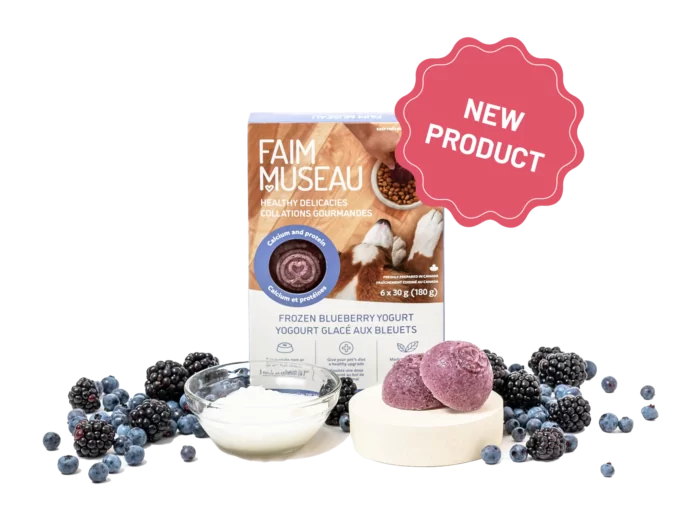 Faim Museau Blueberry Yogurt Faim Museau