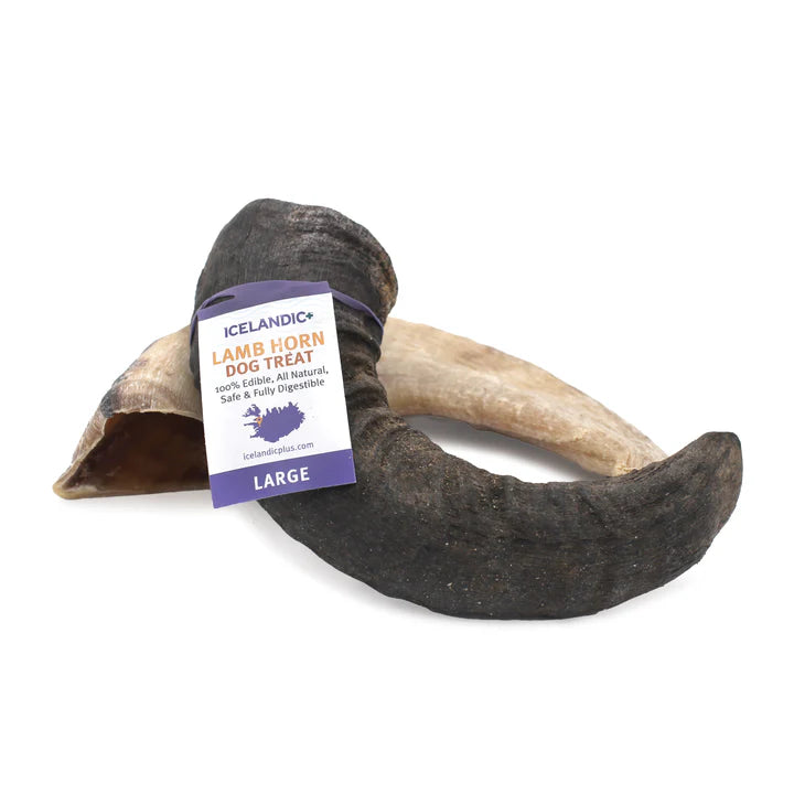 Icelandic+ Small Lamb Horn with Marrow Icelandic