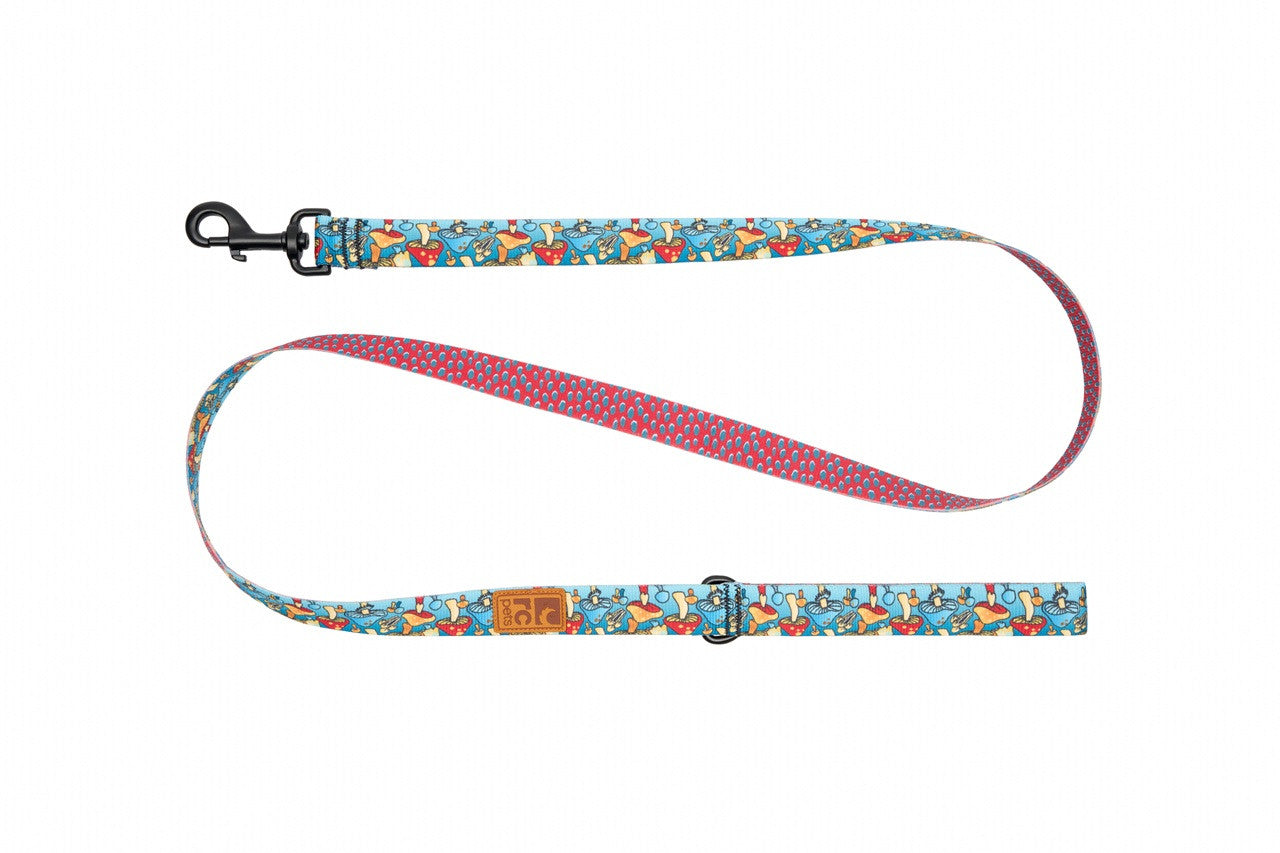 RC Eco Leashes RC Pet