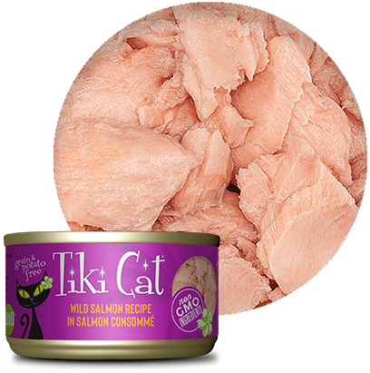 Tiki Cat Hanalei Luau Wild Salmon Tiki Cat