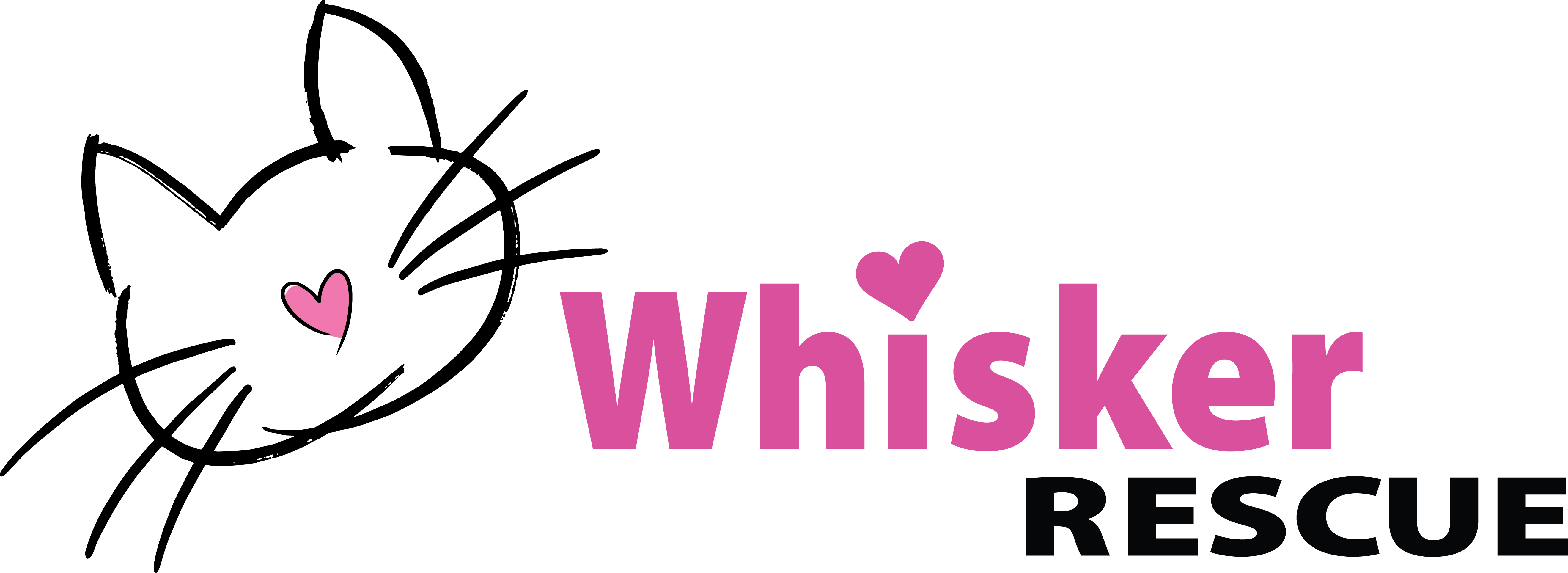 Whisker Rescue Cash Donation