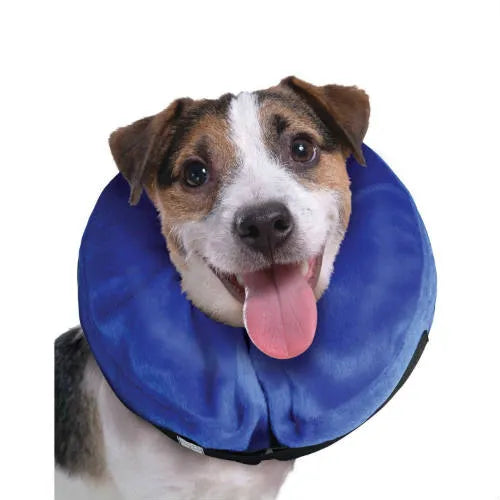 Kong sales dog collar